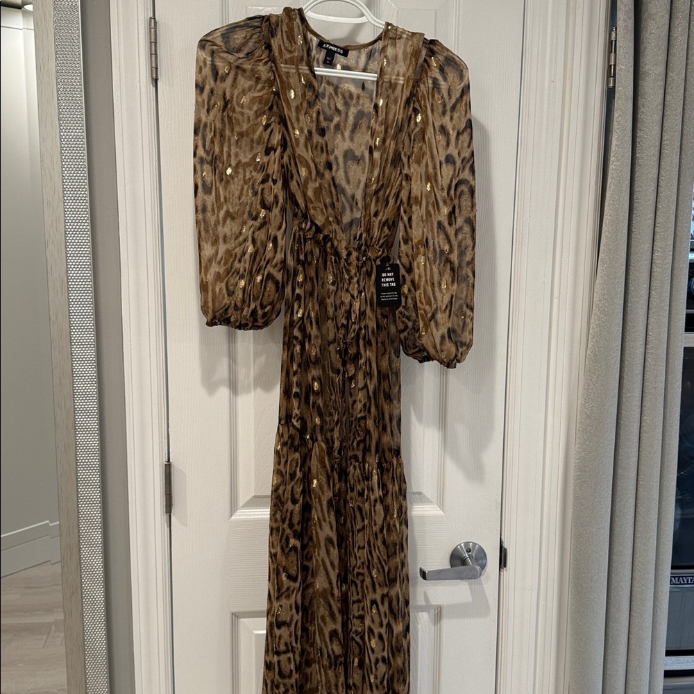 Express sheer cover up duster